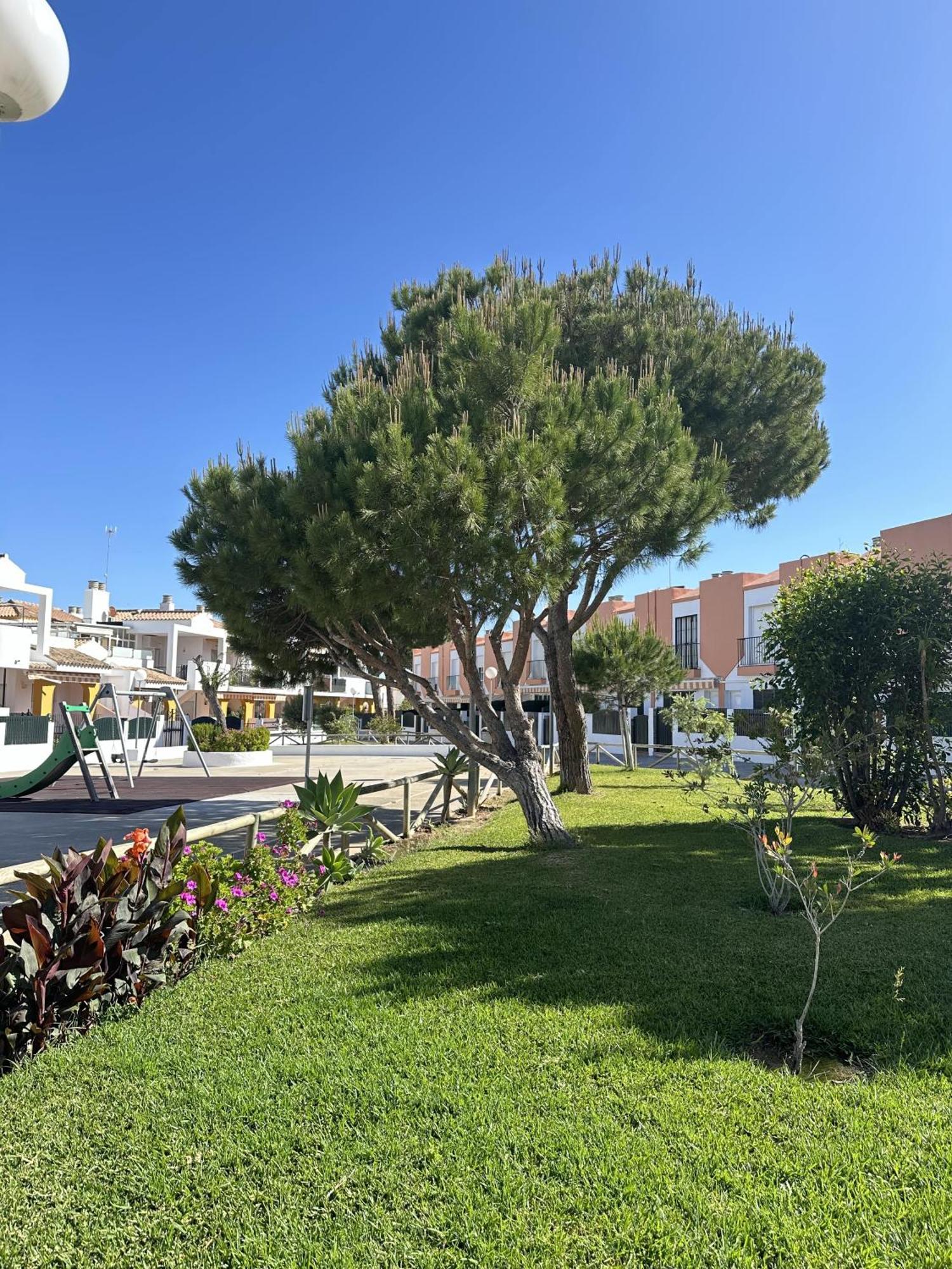 Duplex Playa Sol Ostra Appartamento Chiclana de la Frontera